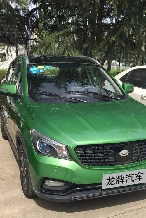 龙牌汽车续航多少