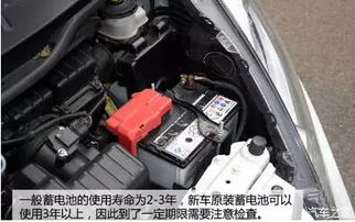 汽车电瓶型号有多少