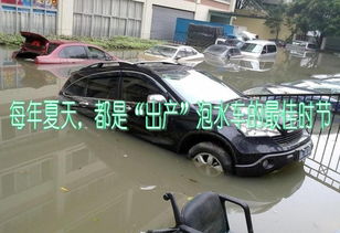 汽车泡水高度多少合适