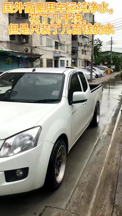 汽车茶花多少钱