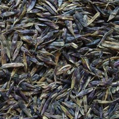 汽车茶花多少钱