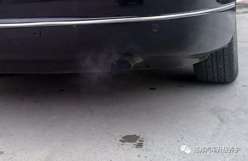哈尔滨冬季汽车油耗多少
