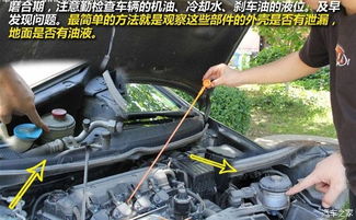 汽车店额定载荷多少