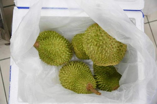 榴莲价格暴跌50%有人买了50箱