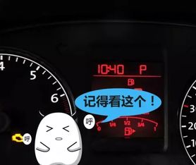 汽车加油额度多少正常