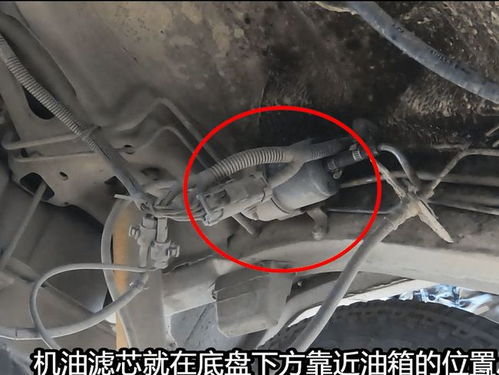 汽车汽油滤芯直径多少