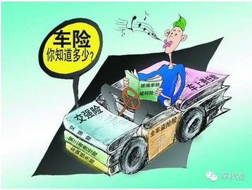 汽车保险最贵多少
