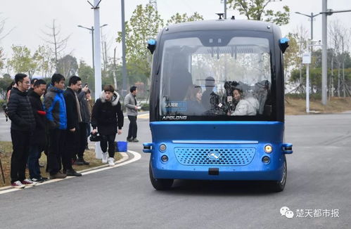 载客汽车多少吨起步