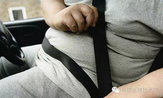 汽车腰围是多少厘米