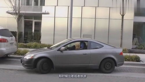 汽车最多放多少天