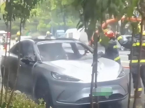 汽车黑标罚款多少