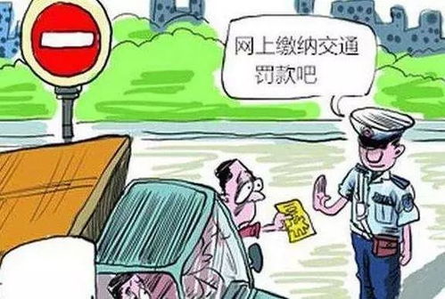 汽车违法减分罚款多少