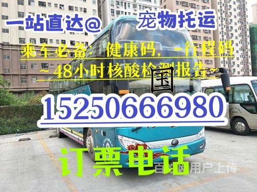 曲阜汽车美容价格多少