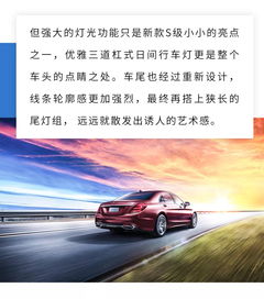 全球汽车有多少种