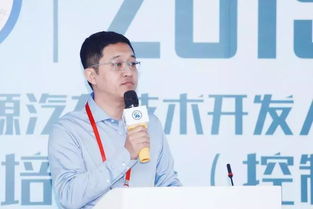 陈丹汽车号多少