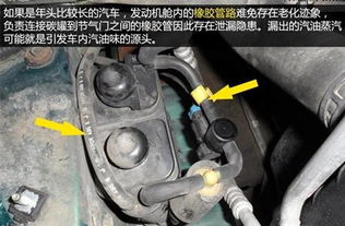 汽车有多少种油管