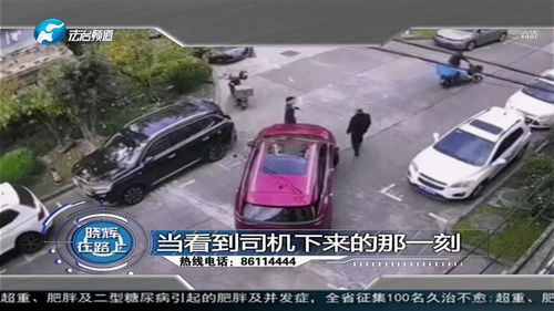 汽车多少速能撞人 汽车多少速能撞人