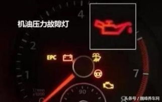 汽车油灯有多少种类