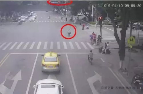 汽车停止线多少种