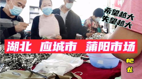 汽车摊位摆摊收入多少