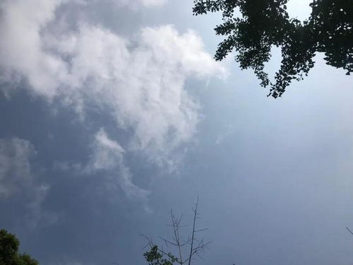 气温弹射起飞 又要热热热热热热了