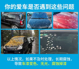 汽车虫胶清洗价格多少