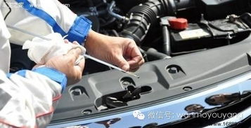进口 汽车寿命多少公里