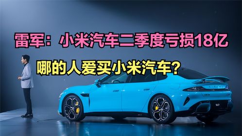 小米汽车买了多少辆