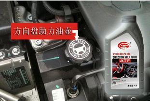 汽车助力油要多少