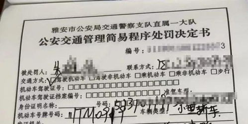 青原区汽车逆行罚款多少
