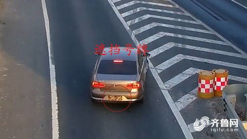 青原区汽车逆行罚款多少