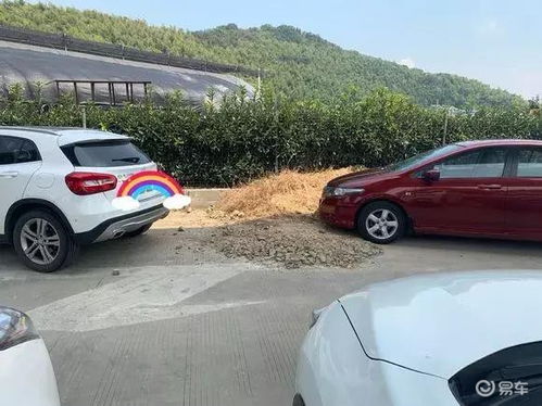 汽车左边距离是多少