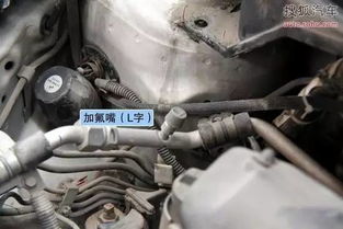 汽车加氟到多少