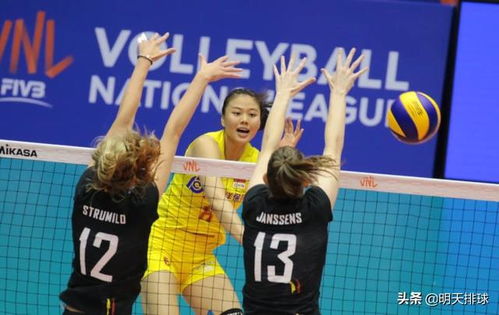 中国女排3-0完胜比利时