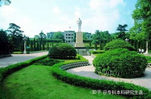 汽车学院占地多少亩