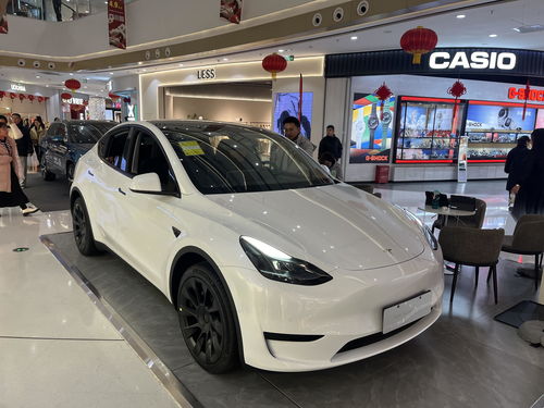 特斯拉汽车召回多少辆车