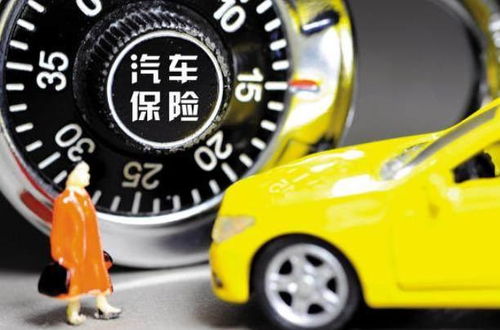 渡劫汽车多少钱