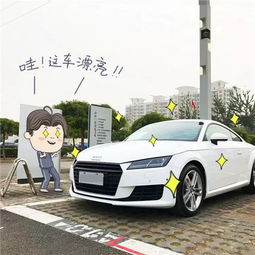 汽车排量多少为高