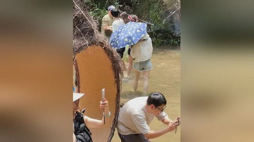 男子散步被青蛇咬伤后忍痛拍照