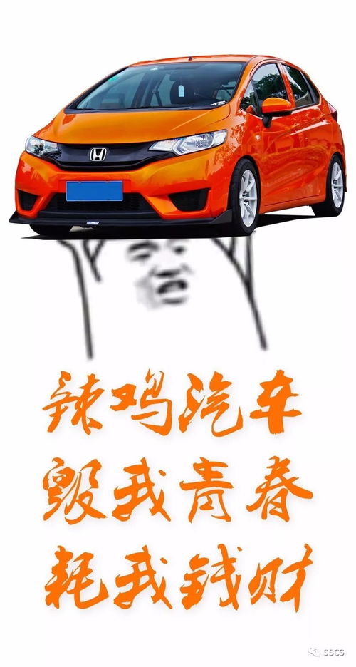 辣子汽车多少钱