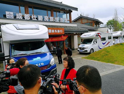 杨叔有多少汽车