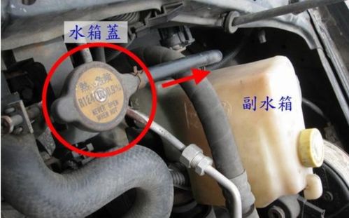 汽车水箱要加到多少 汽车水箱要加到多少
