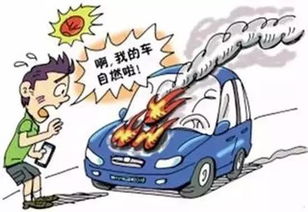 汽车自燃险理赔多少