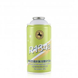 汽车冷媒需要多少g