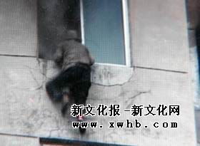 七旬老农被五步蛇咬后割肉放血自救
