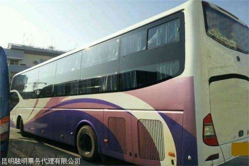 汽车卧铺价格是多少