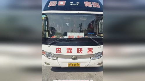 湛江到海口多少汽车