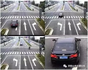 汽车违章过期罚款多少
