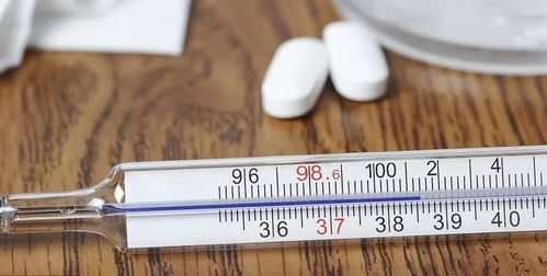 汽车氢气钢瓶温度多少