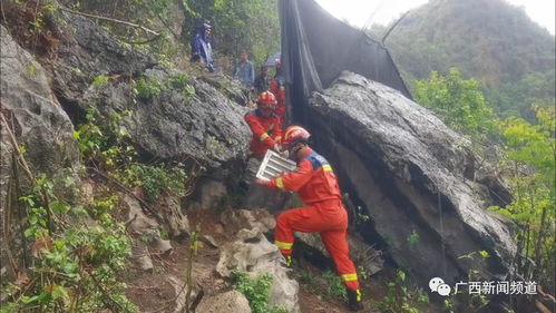 武夷山一女游客被蛇咬死？假